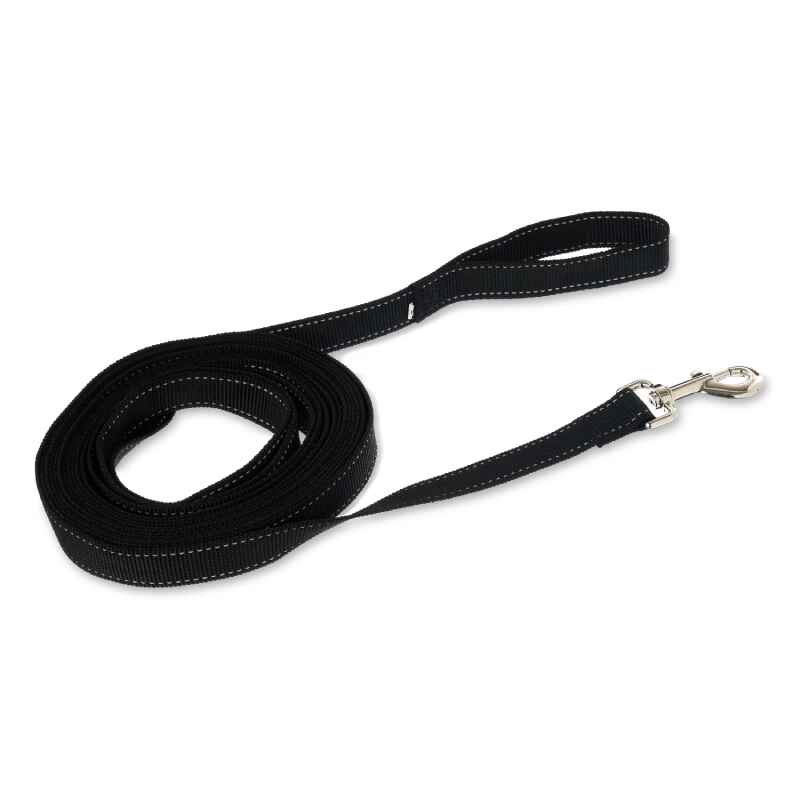 Dog Leashes