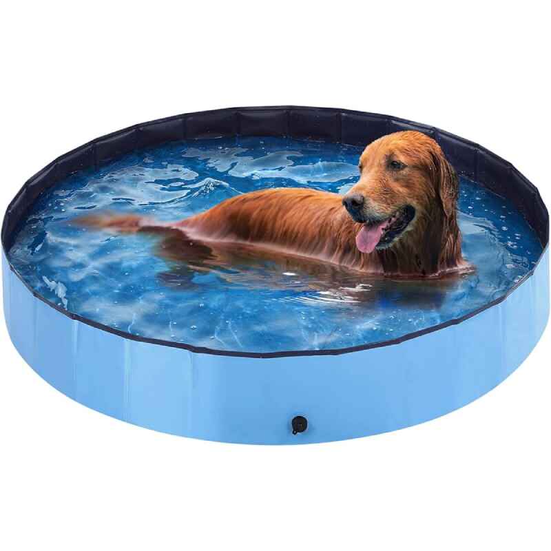 Dog Pools