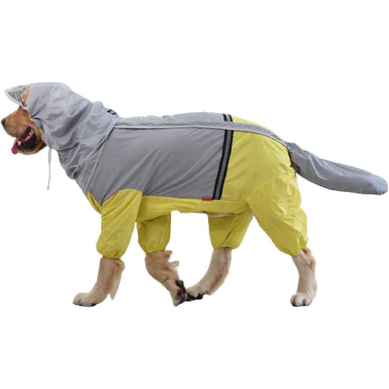 Dog Rainy Weather Shop