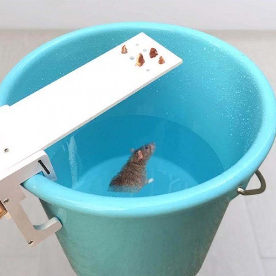 Drop Ship Walk The Plank Mouse Trap Mice Cage Rat Trap Auto Reset Rodent Bucket Board - Mubimart