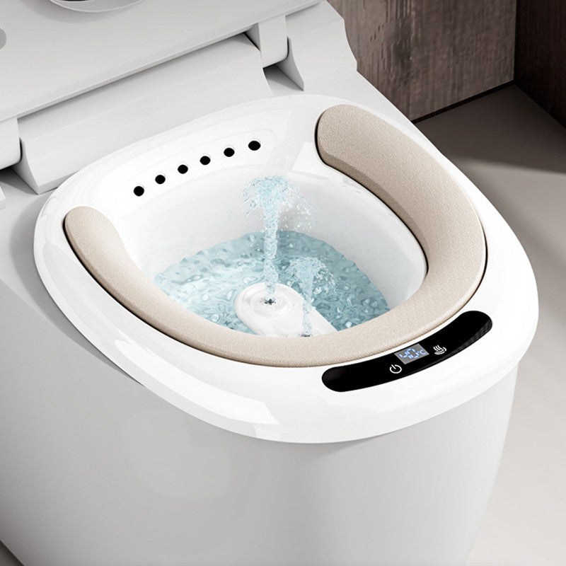 Electric Bidet For Pregnant Women - Mubimart - Bidet 