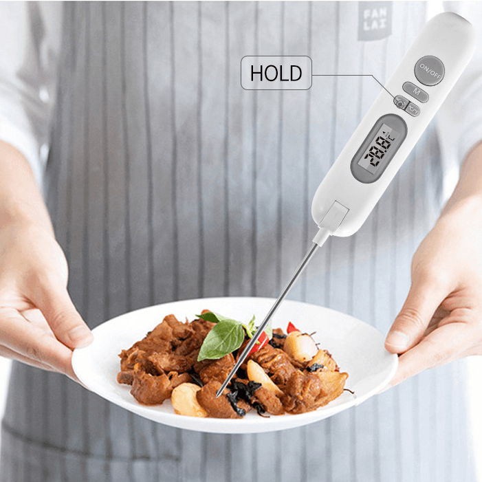 Electronic Food Thermometer Food Outdoor Barbecue Kitchen Gadgets - Mubimart