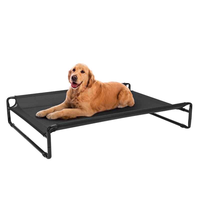 Elevated Dog Beds