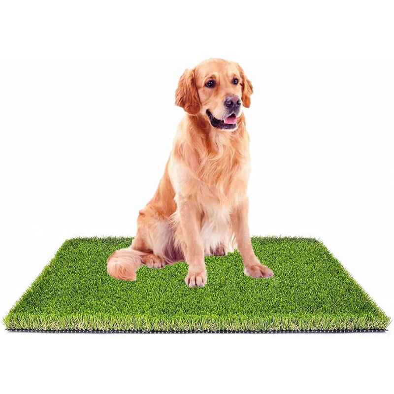 Fake Grass For Dogs