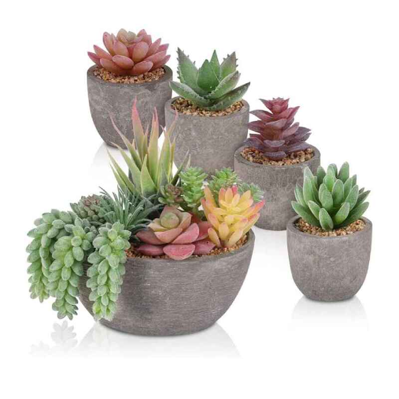 Fake Succulents