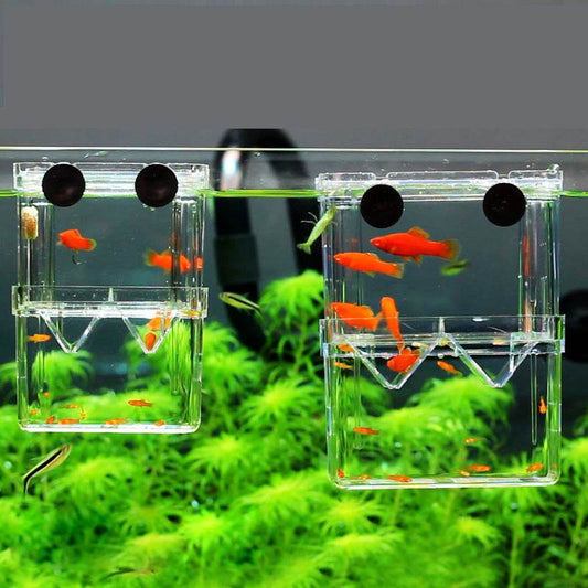 Fish Tank Acrylic Juvenile Fish Hatching Box - Mubimart