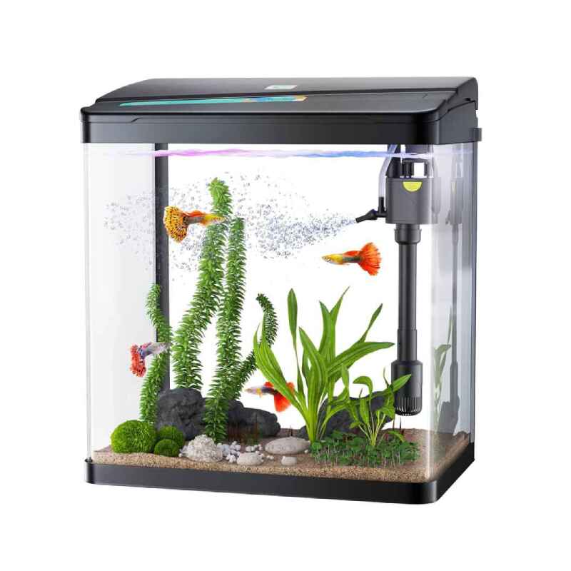 Fish Tanks