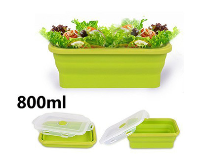 Folding lunch box - Mubimart -  