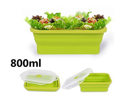 Folding lunch box - Mubimart