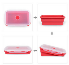 Folding lunch box - Mubimart -  