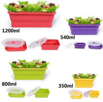 Folding lunch box - Mubimart -  