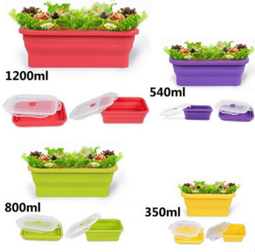 Folding lunch box - Mubimart
