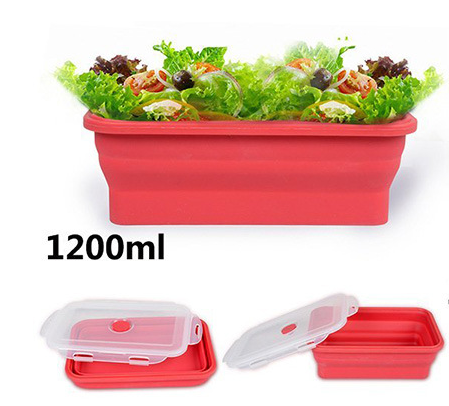 Folding lunch box - Mubimart -  