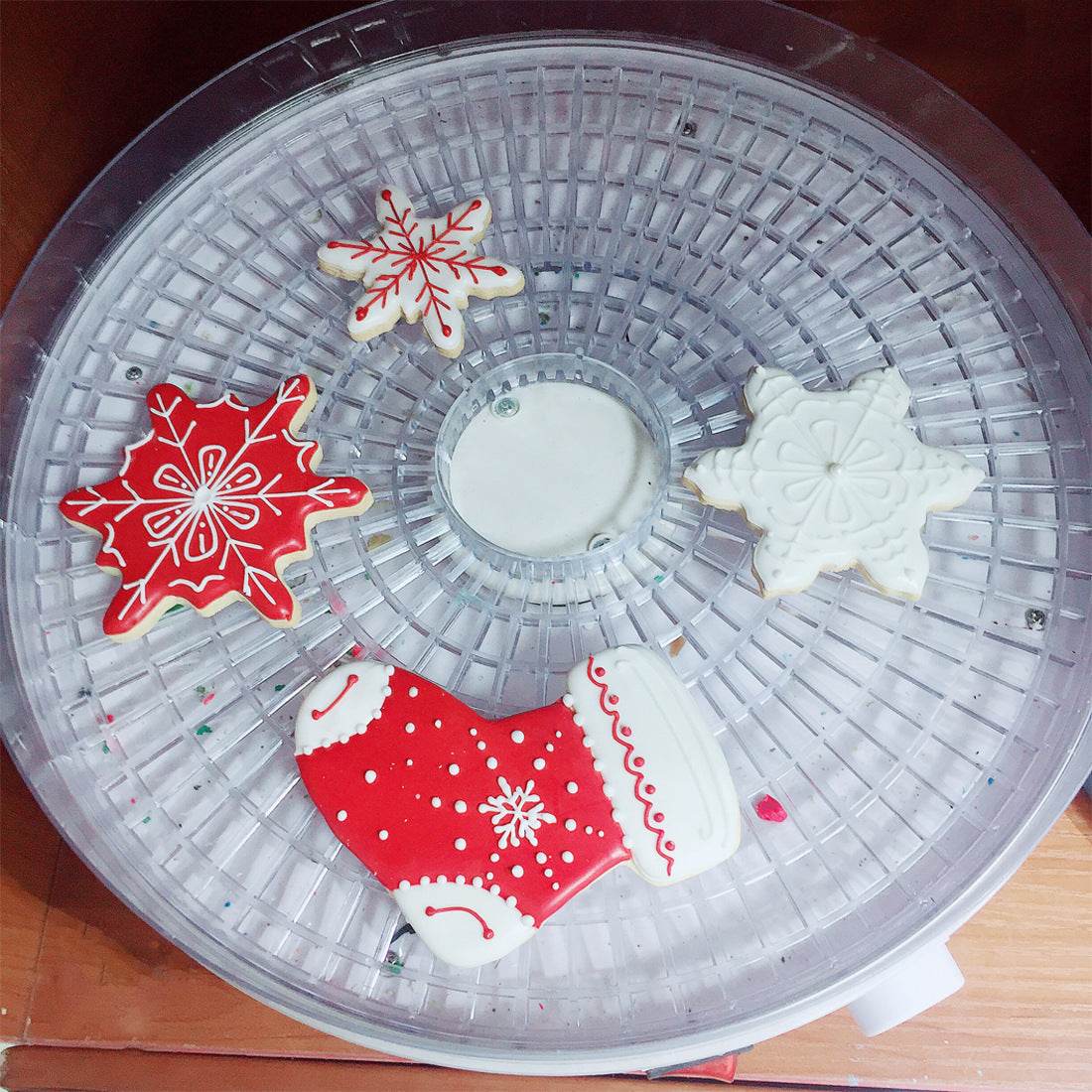 Food Dehydrator Fruit Vegetable Herb Meat Drying Machine - Mubimart