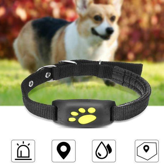 GPS Pet Tracker - Mubimart