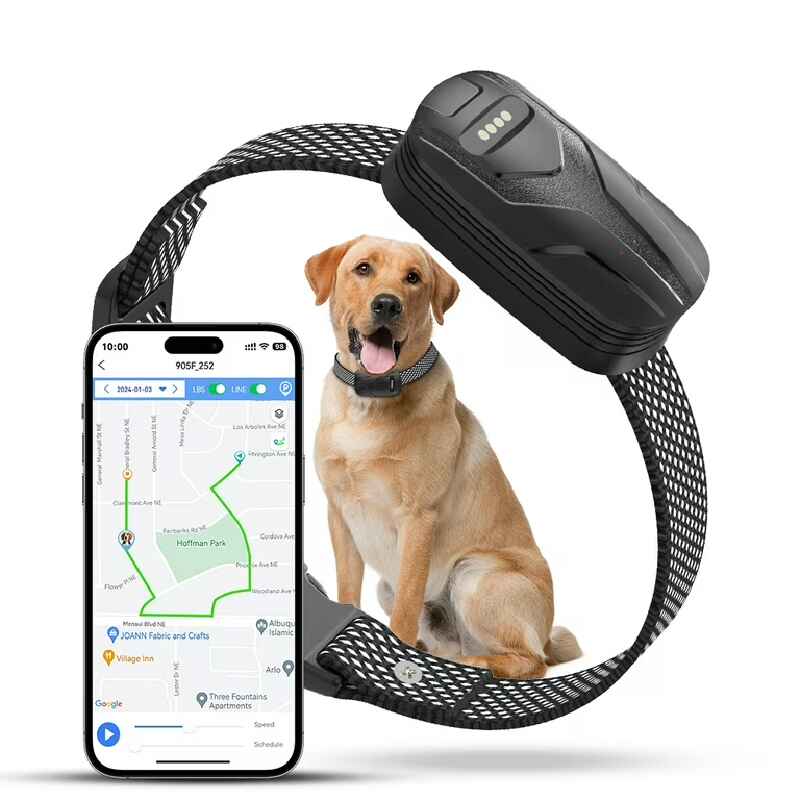 GPS Collars For Dogs