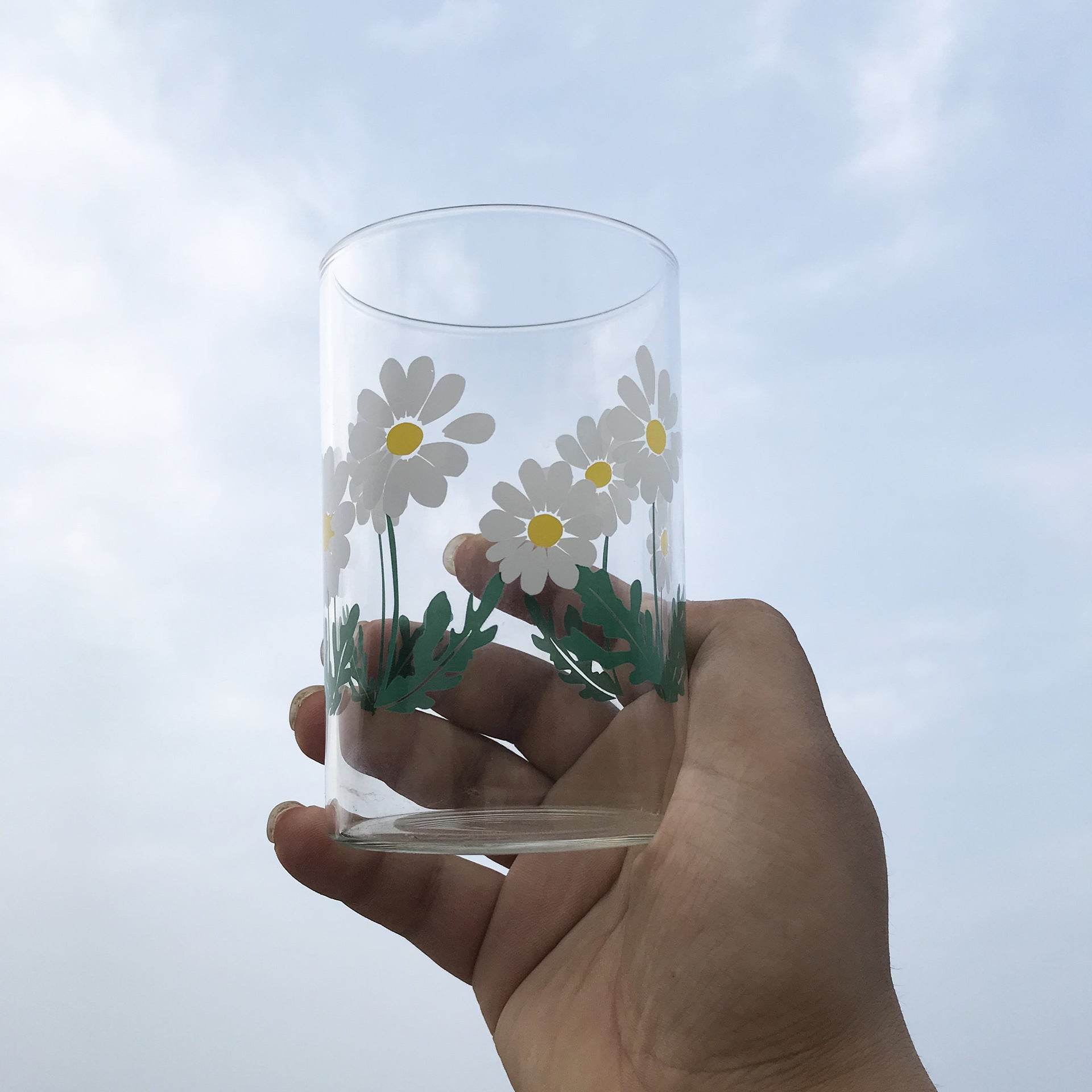 Glass Little Printed Glass Jug Set Summer Cold Water Bottle - Mubimart