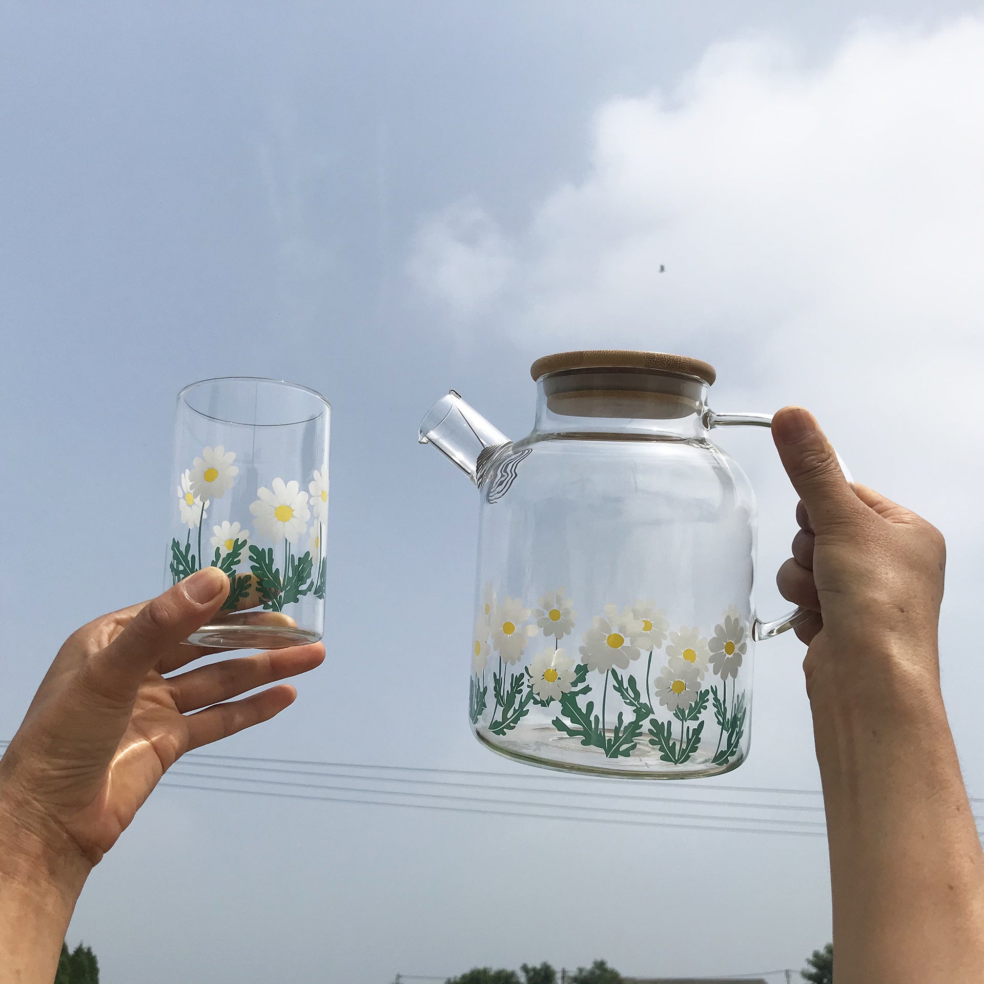 Glass Little Printed Glass Jug Set Summer Cold Water Bottle - Mubimart -  