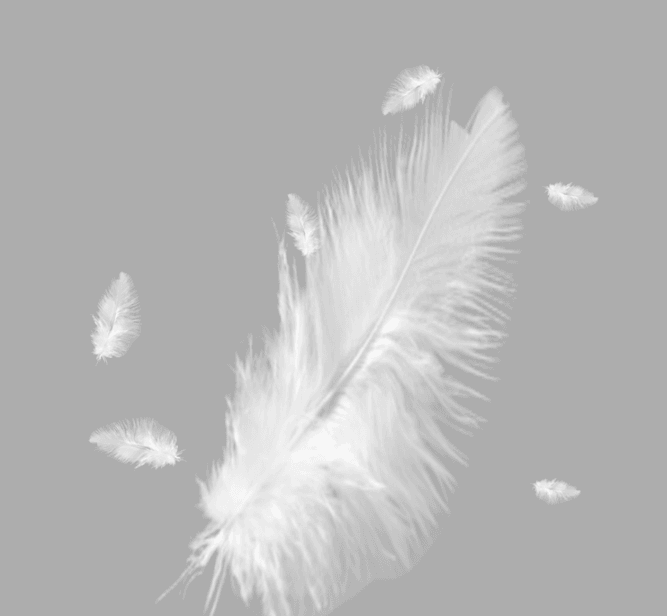 Goose feather back pillow - Mubimart