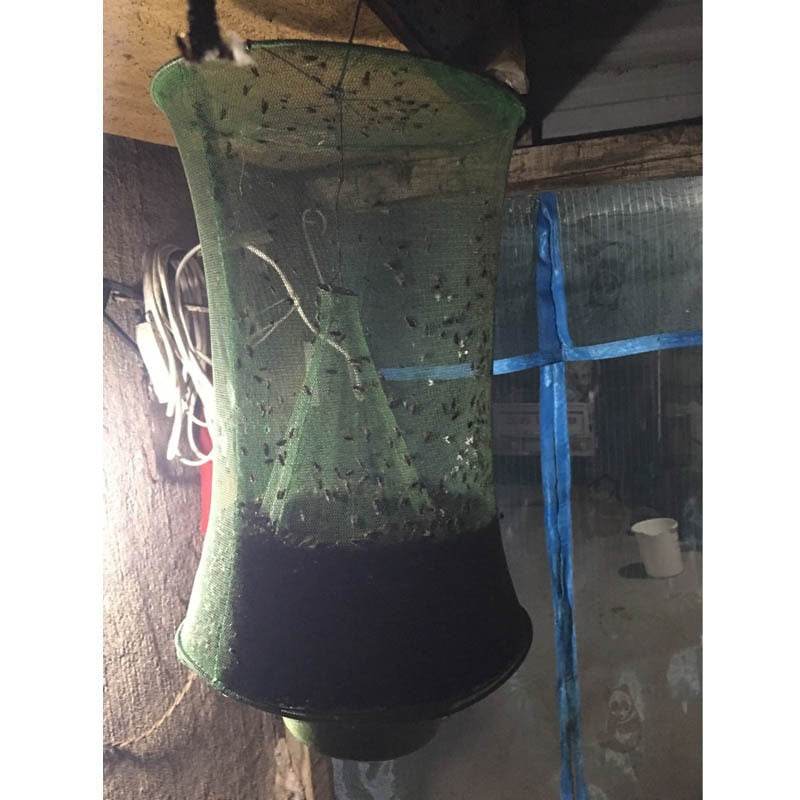 Green Fly Cages In The Community Street Fly Traps Fly Catchers Fly Killers Fly Trap - Mubimart