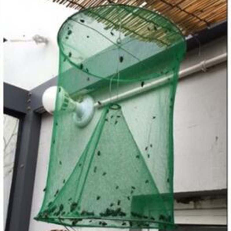 Green Fly Cages In The Community Street Fly Traps Fly Catchers Fly Killers Fly Trap - Mubimart -  