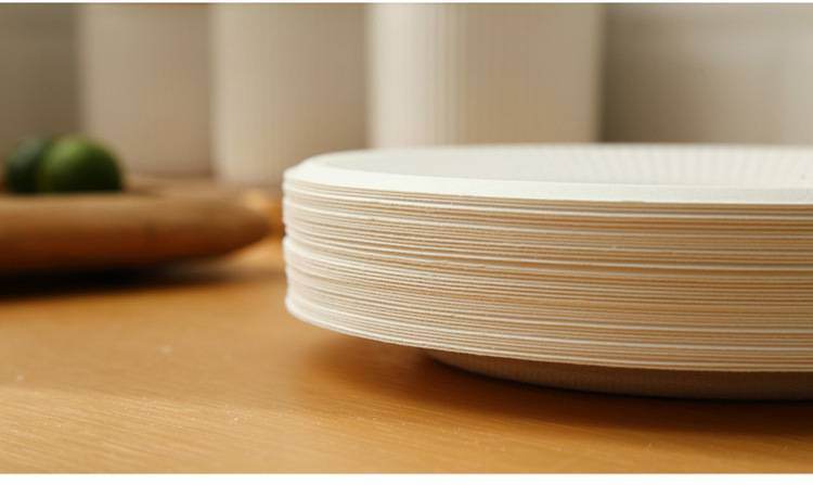 Hand-painted 50 Thick Cake Plates On Disposable Paper Plates - Mubimart