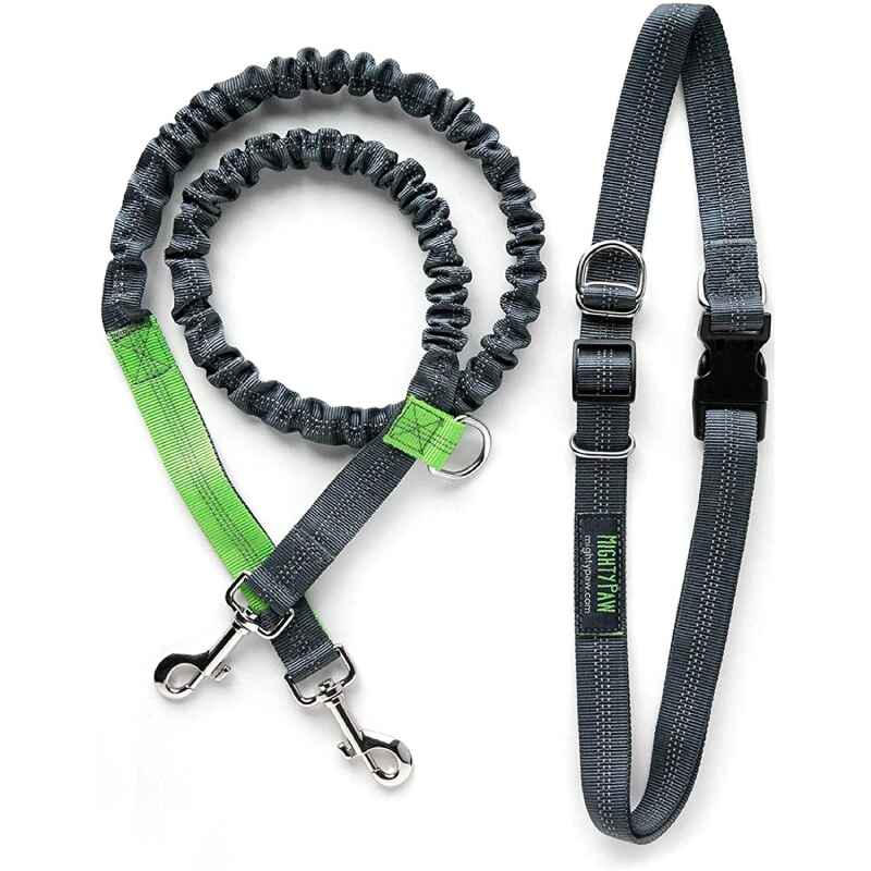 Hands-Free Dog Leashes