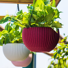 Hanging Basket Flower Pot Automatic Water Absorption Plastic Creative - Mubimart - Decorative basket 