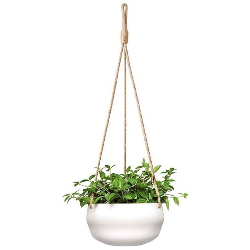 Hanging Planters