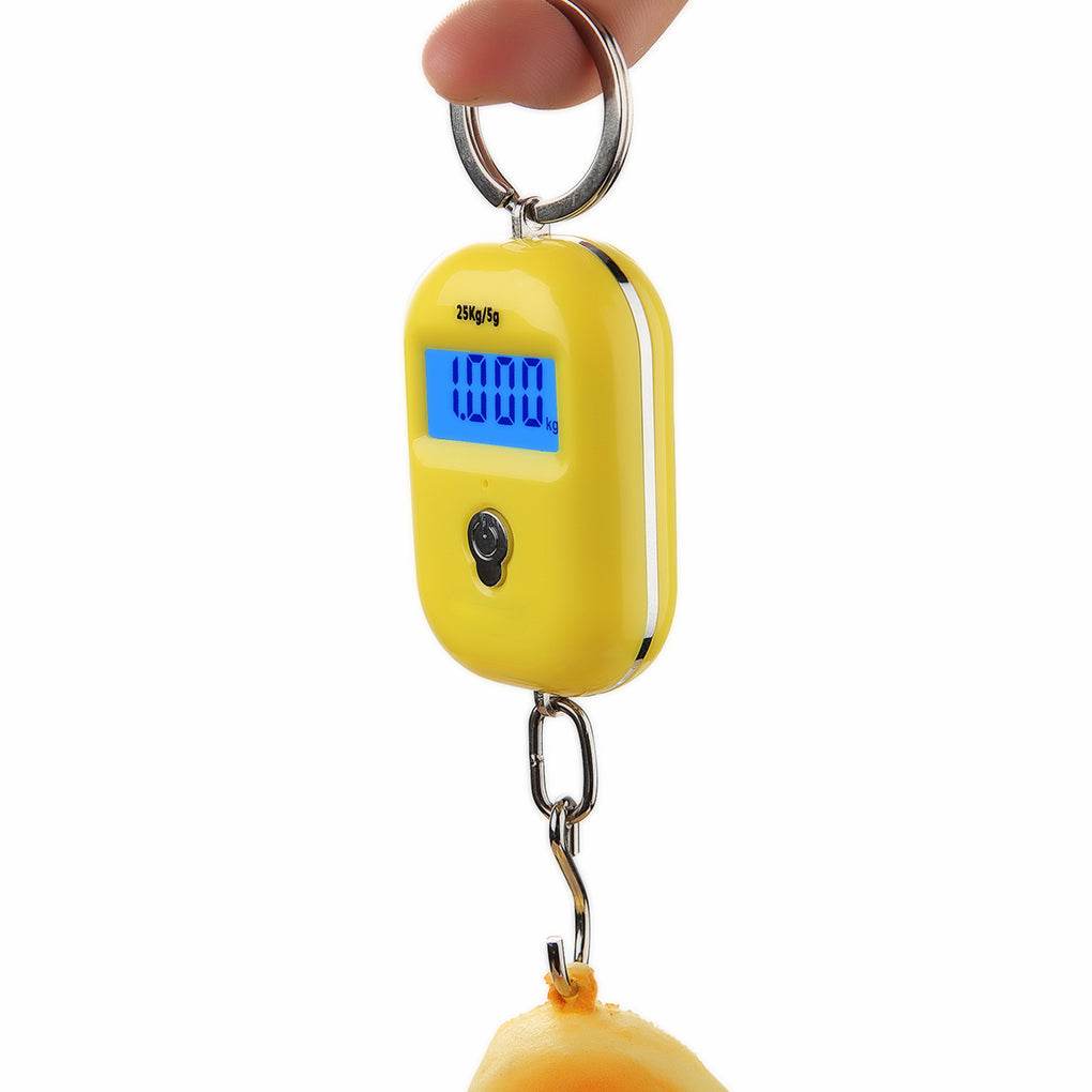 High Precision Portable Electronic Scale Household Mini Portable Grocery Shopping Small Hook Luggage Weighing Hook Weighing Fish Small Scale - Mubimart