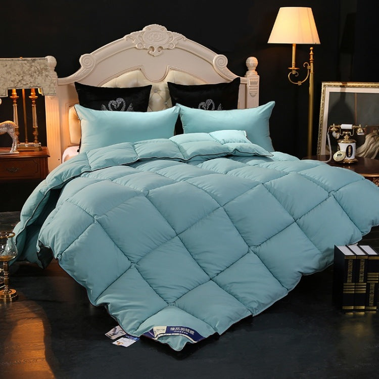 High-end down comforter - Mubimart -  