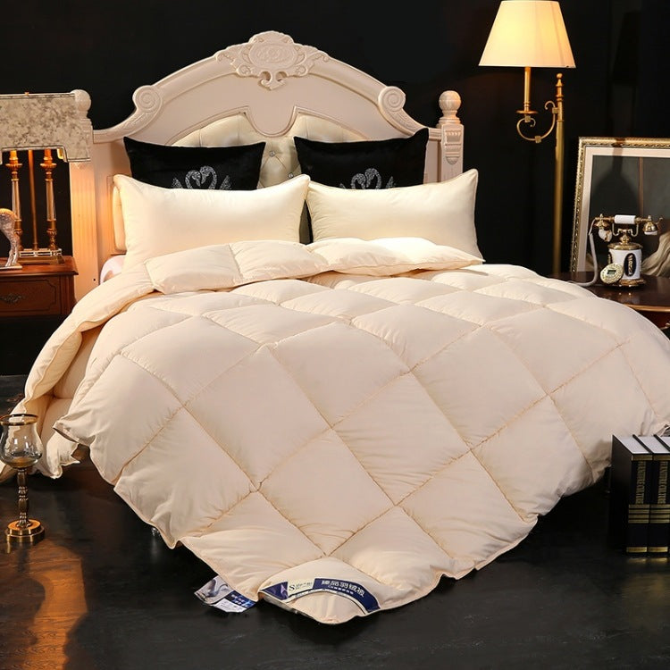 High-end down comforter - Mubimart -  