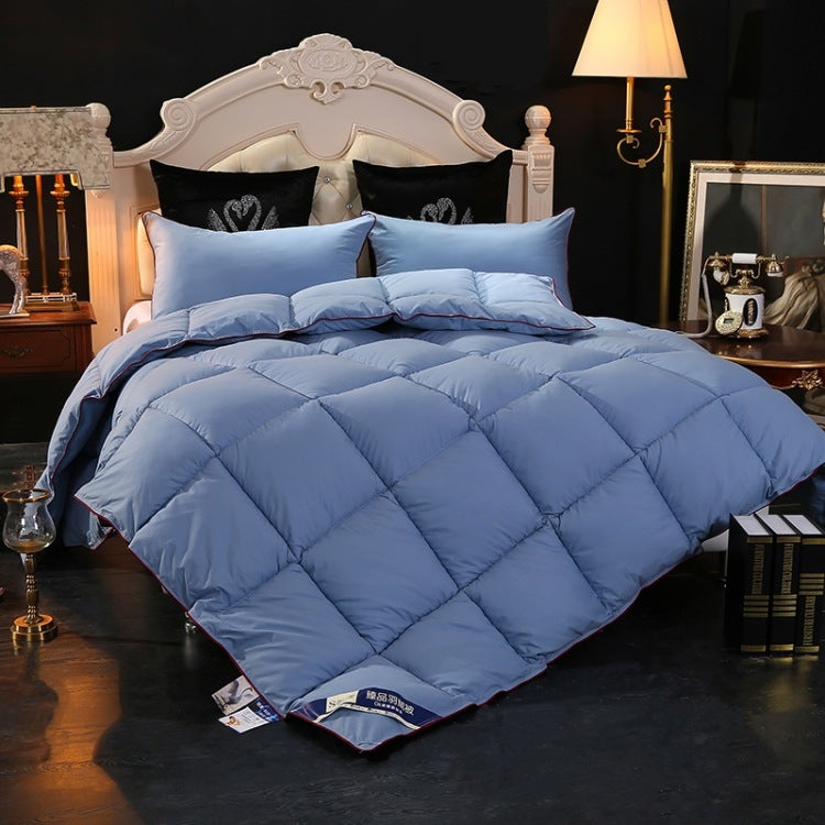 High-end down comforter - Mubimart -  