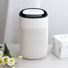 Home Fashion Small Air Purification Dehumidifier - Mubimart -  