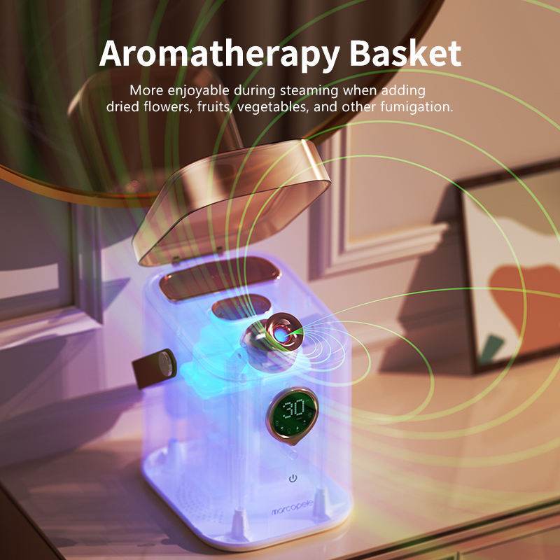 Hot And Cold Double Jet Face Steam Dispenser Water Replenishing Spray - Mubimart