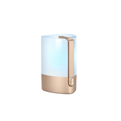 Household Bedroom Ultrasonic Spray Humidifier Ambience Light - Mubimart -  