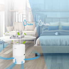 Household Intelligent Small Mute Dry Dehumidifier - Mubimart -  