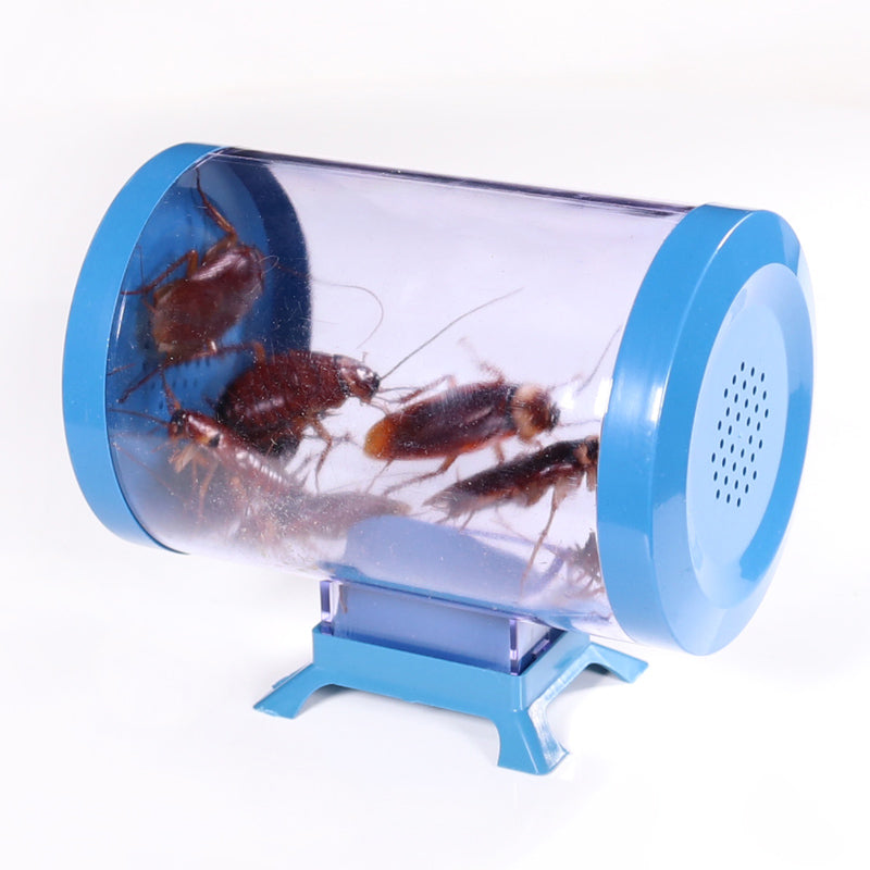 Household cockroach killer house medicine artifact kitchen nemesis trap - Mubimart -  