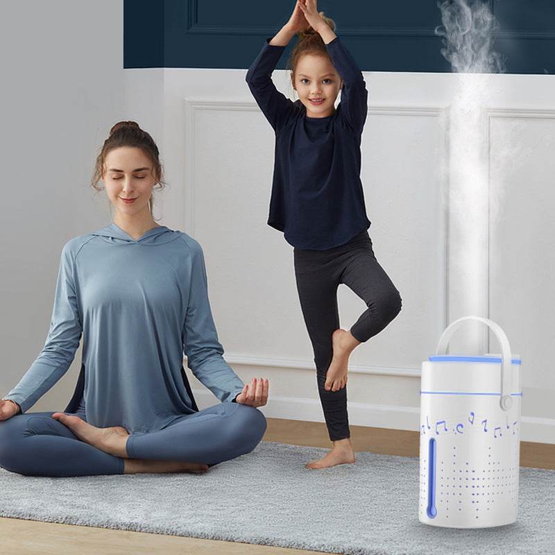 Humidifier Home Silent Bedroom Air Conditioner Large Mist Air Aroma Diffuser - Mubimart