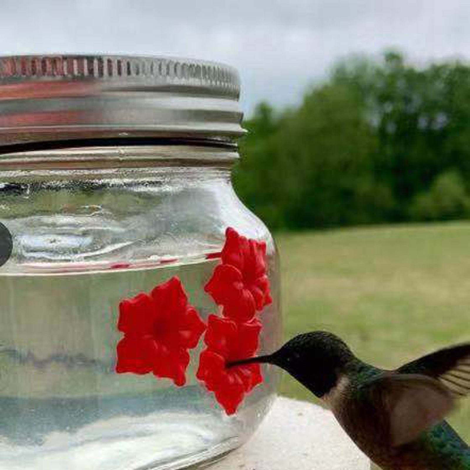 Hummingbird Feeder Plastic Flower Bird Feeder Bird Water Feeder Bottle Hanging Garden Outdoor Pet Supplies - Mubimart