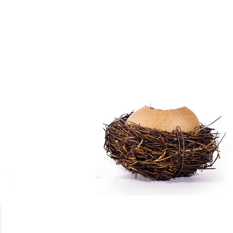 Ice Cream Bowl Egg Ostrich Eggshell Bowl - Mubimart