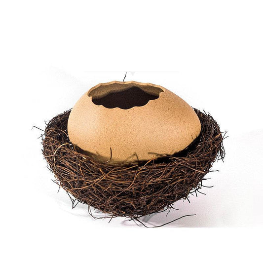 Ice Cream Bowl Egg Ostrich Eggshell Bowl - Mubimart