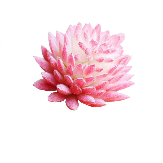 Indoor Succulent Green Plants Simulation Plants Decorative Flowers And Plants - Mubimart