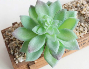 Indoor Succulent Green Plants Simulation Plants Decorative Flowers And Plants - Mubimart -  