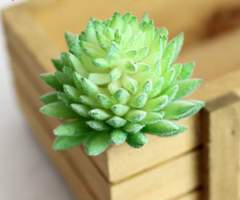 Indoor Succulent Green Plants Simulation Plants Decorative Flowers And Plants - Mubimart - Artificial plant 