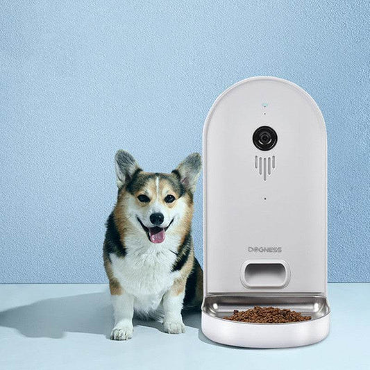 Intelligent Pet Automatic Plastics Feeder - Mubimart