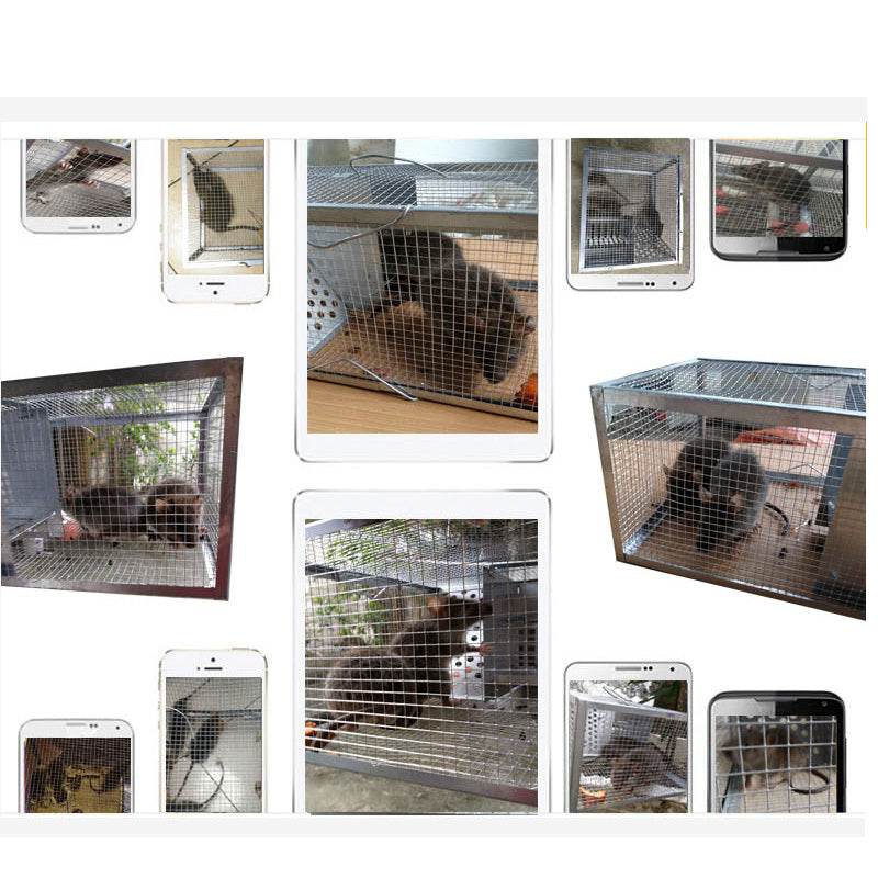 Iron Rodent Trap For Household Use - Mubimart