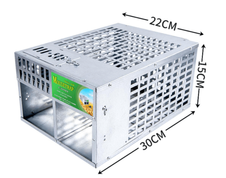 Iron Rodent Trap For Household Use - Mubimart