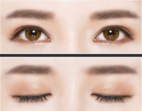 Kelly 12 color eyeshadow Kelly eyeshadow Kelly matte eyeshadow - Mubimart