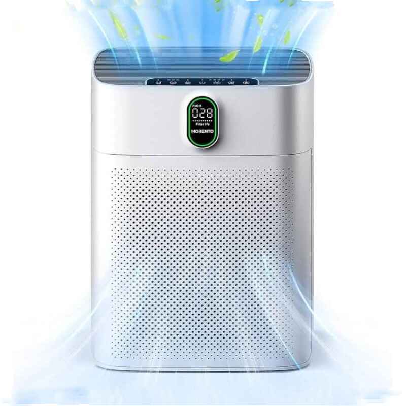 Large Room Air Purifiers